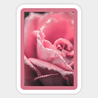 red flower plant Sticker